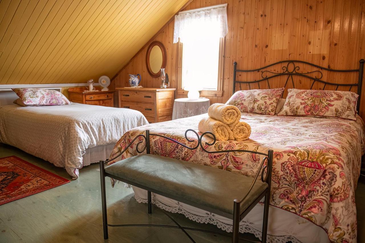Bed & Cafe Petit Papillon Bed & Breakfast กรองส์-แบรเฌอรอนส์ ภายนอก รูปภาพ