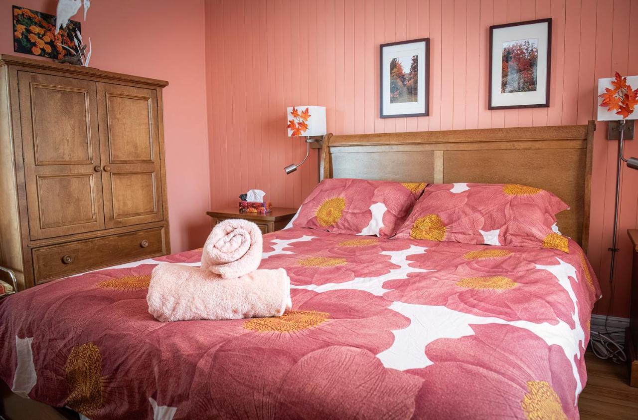 Bed & Cafe Petit Papillon Bed & Breakfast กรองส์-แบรเฌอรอนส์ ภายนอก รูปภาพ