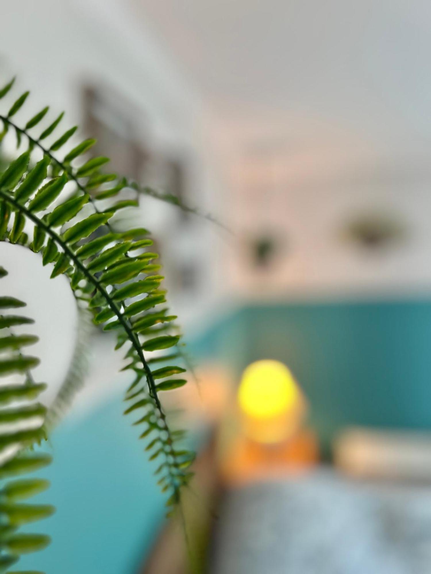 Bed & Cafe Petit Papillon Bed & Breakfast กรองส์-แบรเฌอรอนส์ ภายนอก รูปภาพ